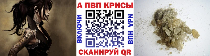 дарнет шоп  МЕГА вход  A-PVP крисы CK  Уржум 