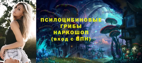 прущий лед Белокуриха