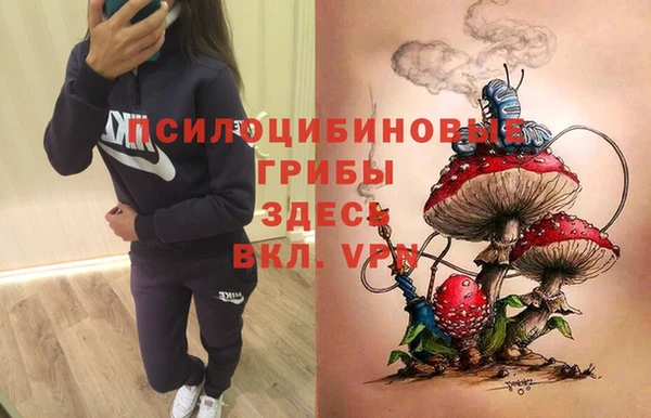 прущий лед Белокуриха
