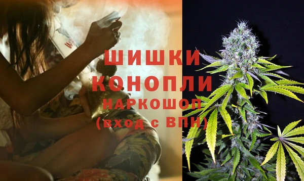 spice Беломорск