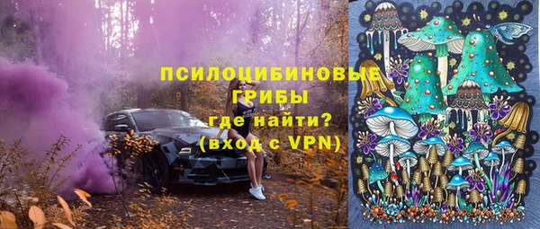 соль ск Балахна