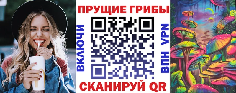 купить наркотик  Уржум  Псилоцибиновые грибы прущие грибы 