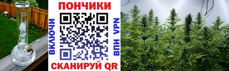 Шишки марихуана план  купить  цена  Уржум 